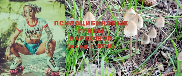 круглые Арсеньев