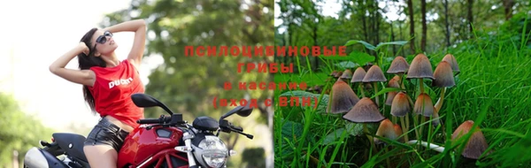 гидра Армянск