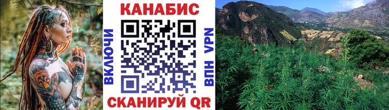 Купить  Серов  Бошки марихуана Amnesia 